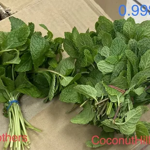 a bunch of mint leaves and a bunch of mint leaves