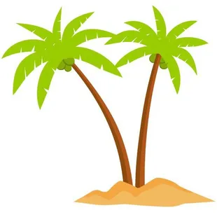 two palm trees in the sand