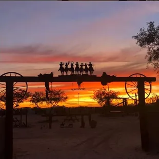Immerse yourself in Cocoraque Ranch&apos;s sunsets, where the Sonoran Desert sky explodes in a kaleidoscope of orange, purple, and pink hues.