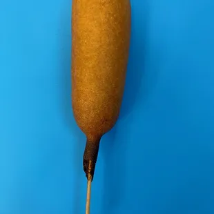 a hot dog on a stick