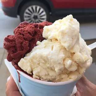 Large Red Velvet and Pannamore