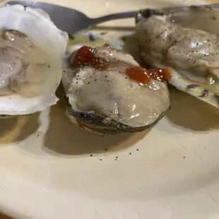 Oysters Appetizer