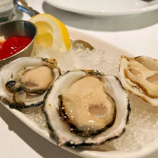 Oysters