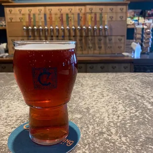 Codex Brewing