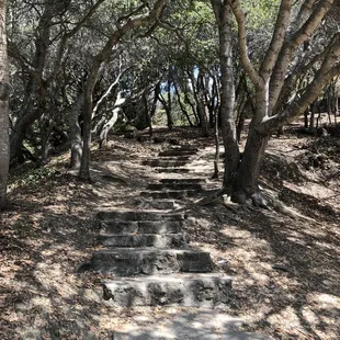 Stairs leading up a hill that overlooks the park