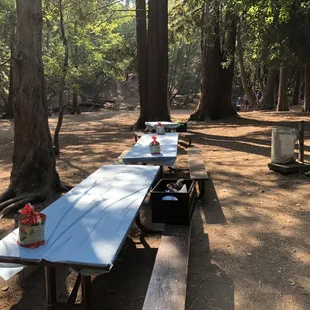 Picnic Tables