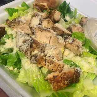 Chicken Caesar salad