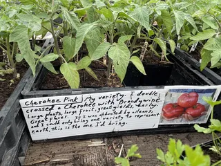 Natural Farm Stand