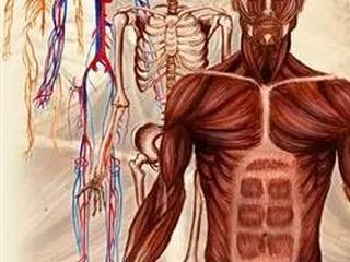 Hysell Chiropractic & Acupuncture