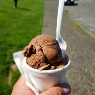 a hand holding a cup of ice cream