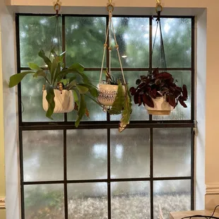 Windows