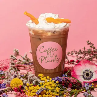 Zion's Cold Brew