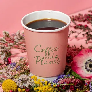 Pour Over