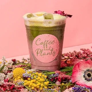 Pink Matcha