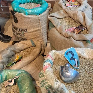 Backdrop knows beans!!!