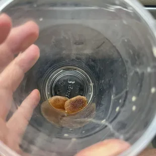 Frozen coffee cubes!!!