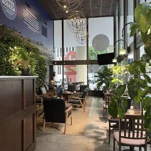 Relax in a luxurious tropical oasis but wait no it's the FiDi!