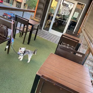 Upstairs patio