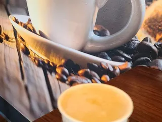 Forest Coffee