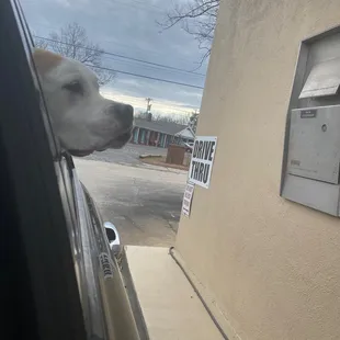 Outside the drive thru