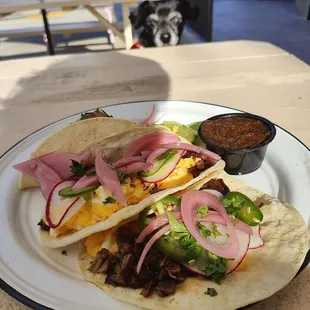 Tex Mex tacos, hot sauce, smol dog