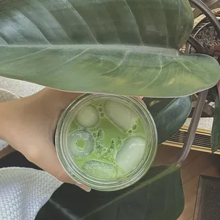 a person holding a glass of green liquid