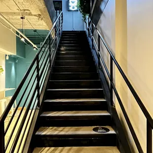 Looking up