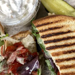 Italian chicken panini with a side of potato salad