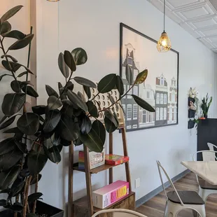 Decor and board games