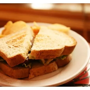 Amazing Panini Sandwiches