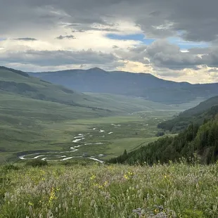 Beauty of the nature