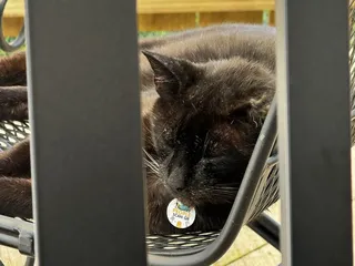 The Plane Street Coffee House & Cafe