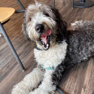 Toast w/ organic Seasonal Jam