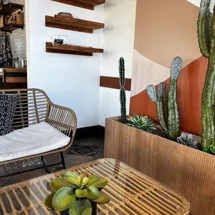 a coffee table with a potted plant