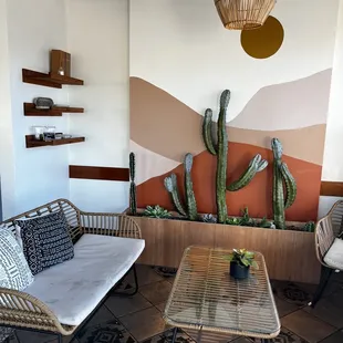 a coffee table, chairs, and a cactus