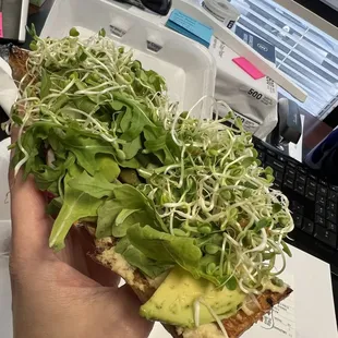 Ciabatta Avocado Toast