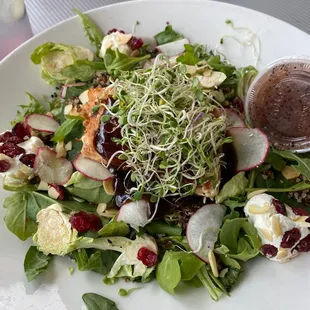 Goat cheese and salmon salad