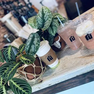 Pop up flower shop at Coffee Shack