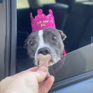 Took my dog here for her birthday and she loved it!