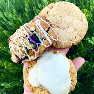 Houldens Rise Above (Vegan) - Snickerdoodle Cookie, Blueberry Coffee Cake, Lemon Poppyseed Scone