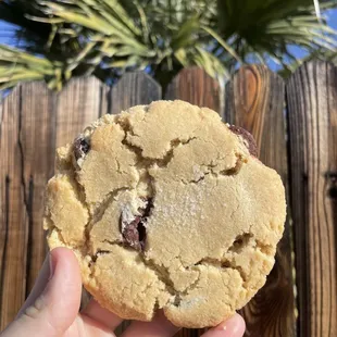Vegan Salted Chocolate Chunk cookie made by Houldens Rise Above