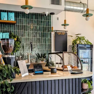 Front counter. The whole shop has this sort of aesthetic and vibe.