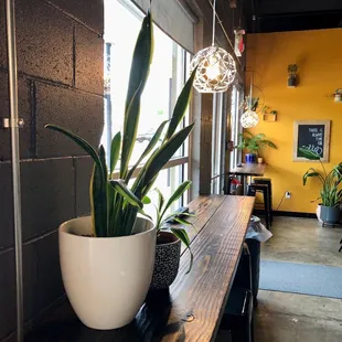 Inside, looking toward the front door from the side