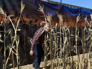 Fright Farms