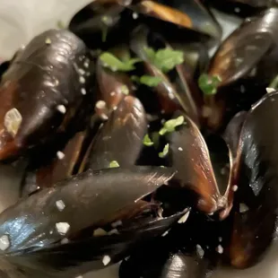 food, shellfish, oysters and mussels, mussels, oysters