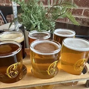Beer taster flight
