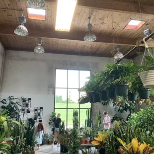 Here&apos;s just one side of their building and this is only half of the room!