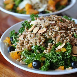 Vegan Kale Salad