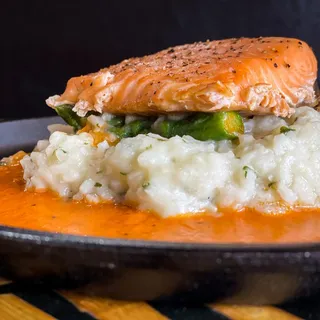 Salmon