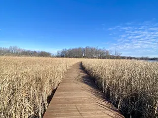 Wassermann Lake Reserve